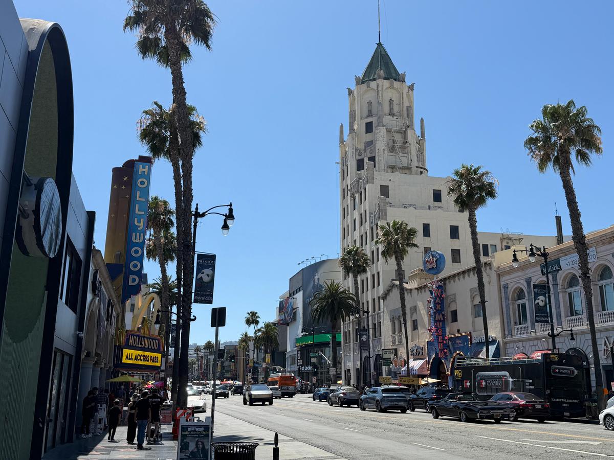 Cum arată consumul de cannabis în Los Angeles