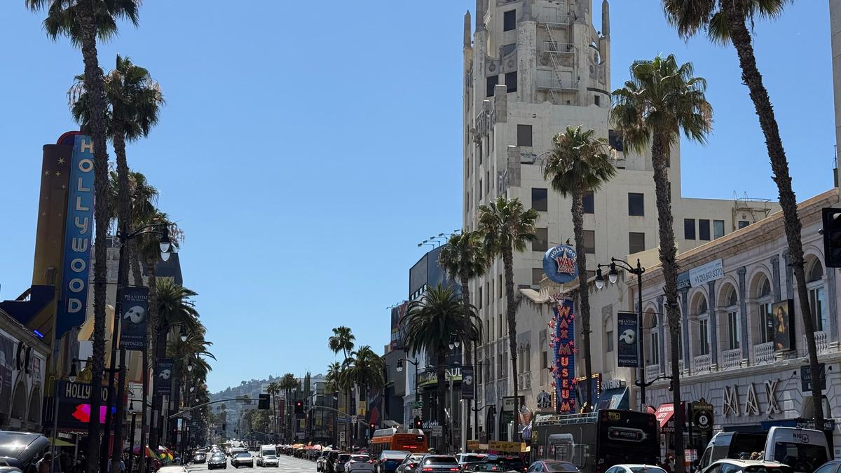 Cum arată consumul de cannabis în Los Angeles