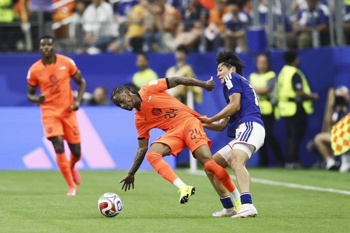 Olanda - Japonia, în grupa F la Campionatul Mondial