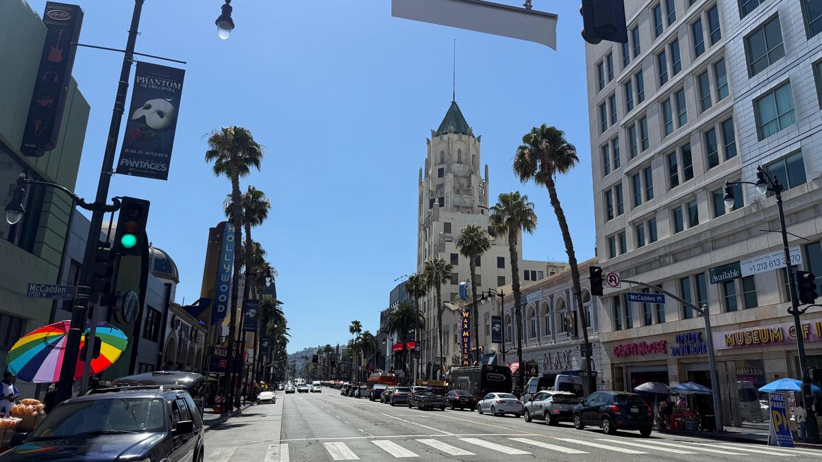 Cum arată consumul de cannabis în Los Angeles