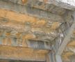 Trecutul cenușiu și prezentul colorat » Reportaj GSP la Oradea: „cade” vechiul stadion, va fi ridicat unul modern