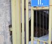 Trecutul cenușiu și prezentul colorat » Reportaj GSP la Oradea: „cade” vechiul stadion, va fi ridicat unul modern