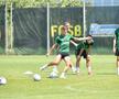 Antrenament FCSB:  // FOTO: Cristi Preda