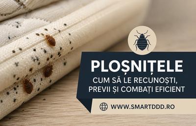 De unde apar ploșnițele de pat? 7 moduri prin care ajung în casă și cum previi reinfestarea