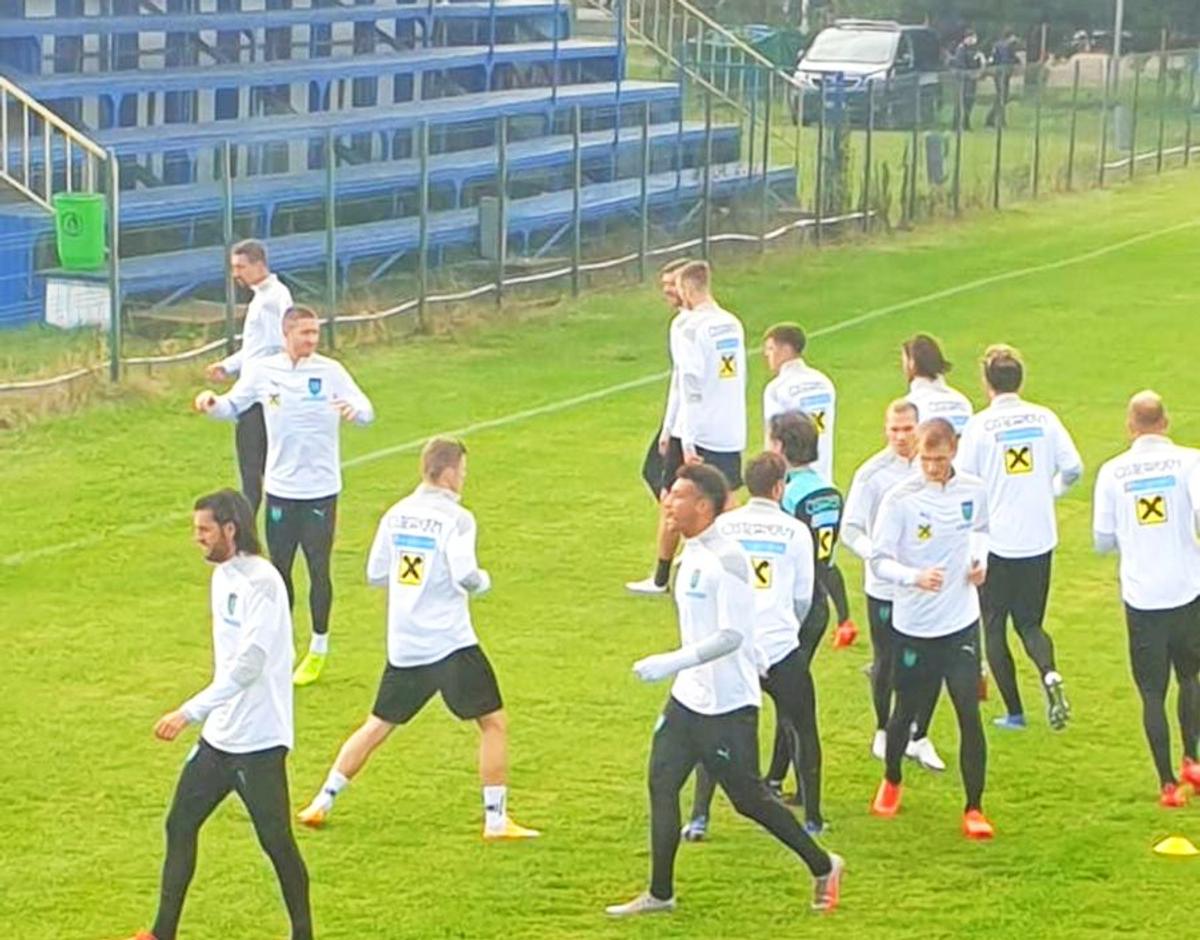 ROMÂNIA - AUSTRIA. EXCLUSIV/FOTO Alaba și starurile lui Foda s-au antrenat la Păulești, pe terenul derby-ului cu Bănești - Urleta :)