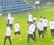 Austria a efectuat astăzi, în ziua meciului cu România, un antrenament pe stadionul din comuna Păulești, Prahova.