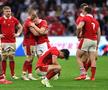 Argentina, pentru a treia oară în istorie în semifinalele Cupei Mondiale de rugby » Placajul fabulos care a decis duelul cu Țara Galilor