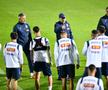 Mihai Stoica, ironie „cu mantă” înainte de România - Andorra: „Oare au camere single?”