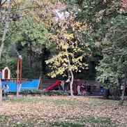 Stadionul Venus - astăzi „Parcul Operei” din Capitală