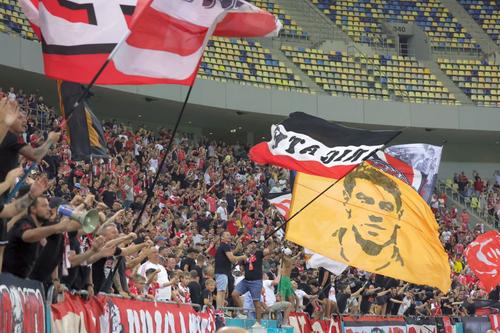 Suporterii lui Dinamo