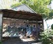 GSP a descoperit stadionul devenit pădure la Brăila