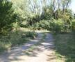GSP a descoperit stadionul devenit pădure la Brăila