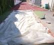 GSP a descoperit stadionul devenit pădure la Brăila