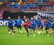 ROMÂNIA - SUEDIA // VIDEO+FOTO Cosmin Contra, iritat când a fost întrebat despre neconvocarea lui Ionuț Radu