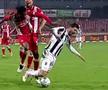 Astra a cerut penalty pe final de meci. Captură Digi Sport