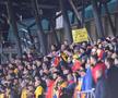 Liechtenstein - România, preliminarii CM 2022 
(foto: Raed Krishan/GSP)