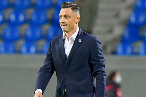 Mirel Rădoi, selecționer România