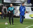 Alina Peșu, arbitru internațional