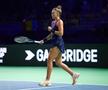Jaqueline Cristian - Ena Shibahara la BJK Cup Finals