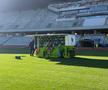Noul gazon de pe Cluj Arena / sursă foto: CJ Cluj