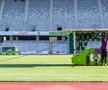 Noul gazon de pe Cluj Arena / sursă foto: CJ Cluj