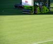 Noul gazon de pe Cluj Arena / sursă foto: CJ Cluj