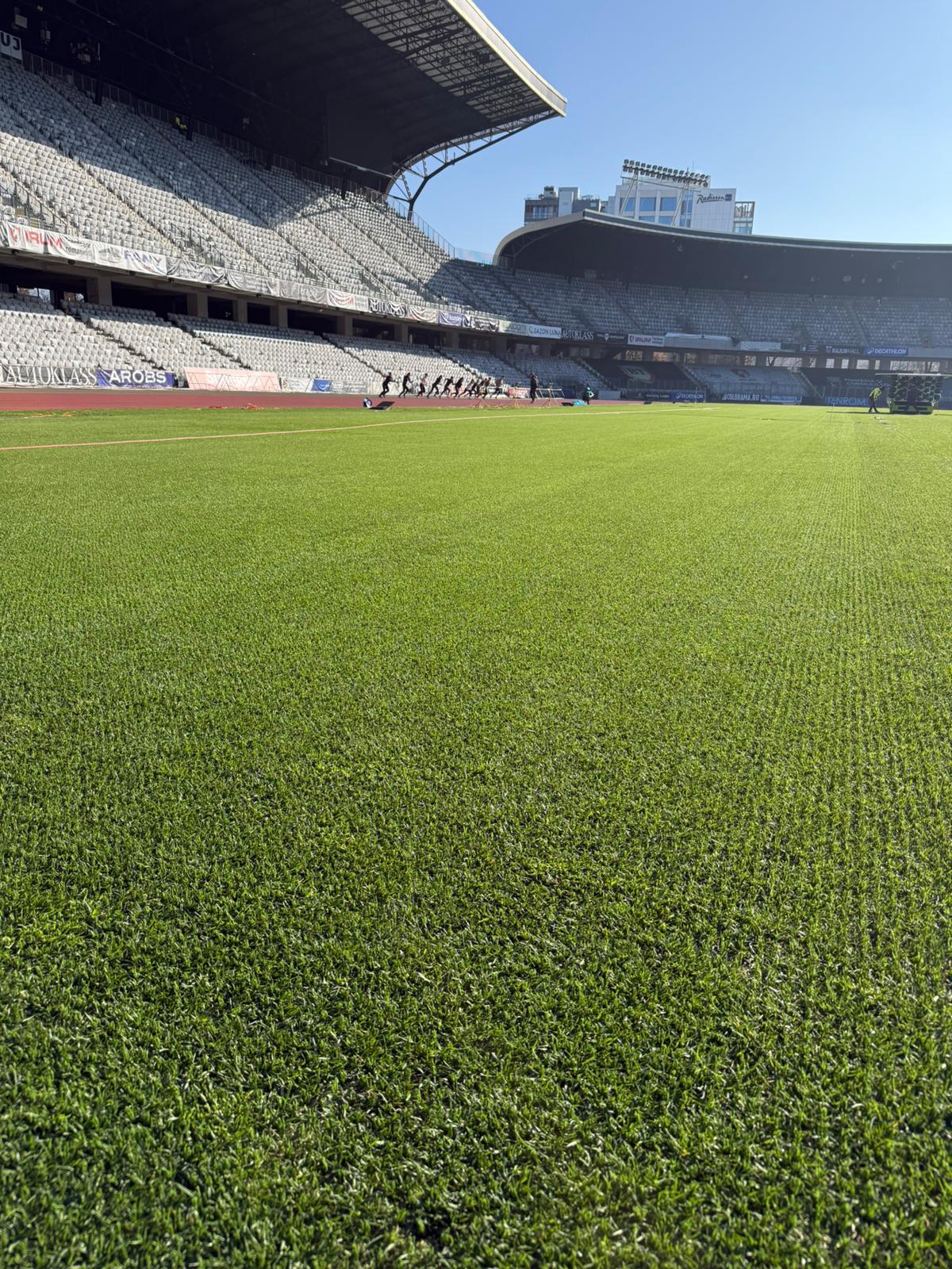 Gazon Cluj Arena