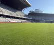 Noul gazon de pe Cluj Arena / sursă foto: CJ Cluj