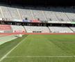 Noul gazon de pe Cluj Arena / sursă foto: CJ Cluj