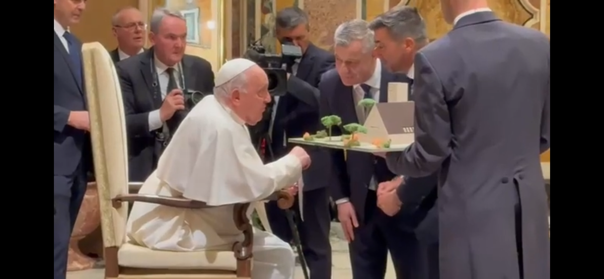 Nelutu Varga si Pietro Chiodi, vizita privata la Papa Francisc