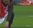 Porumbel rănit pe gazon în Dinamo - Metaloglobus