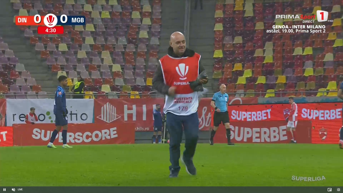 Porumbel rănit pe gazon în Dinamo - Metaloglobus