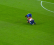 Porumbel rănit pe gazon în Dinamo - Metaloglobus