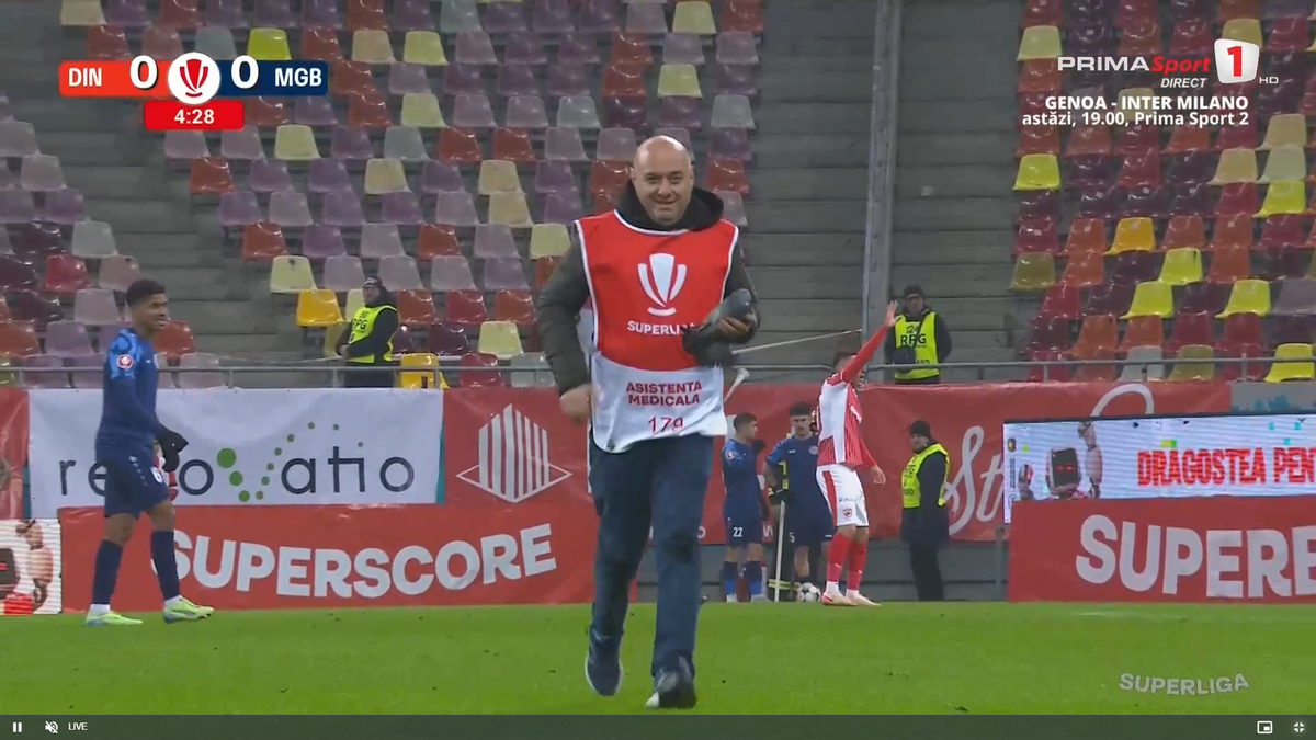 Porumbel rănit pe gazon în Dinamo - Metaloglobus