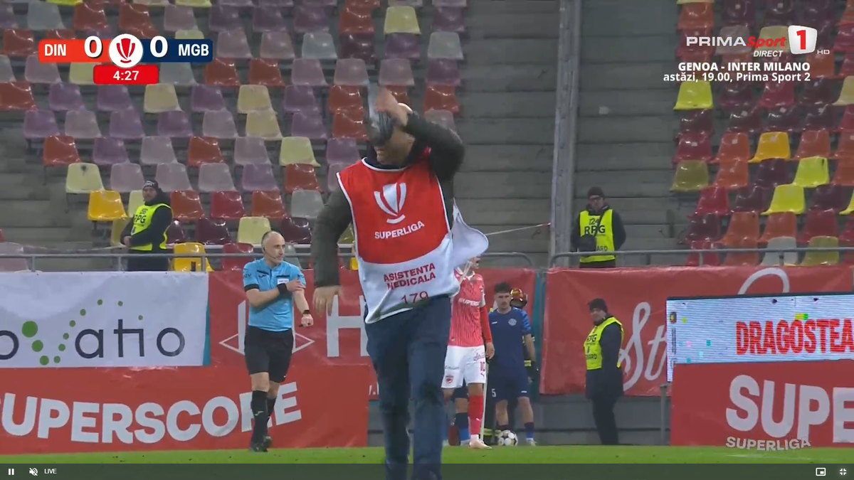 Porumbel rănit pe gazon în Dinamo - Metaloglobus
