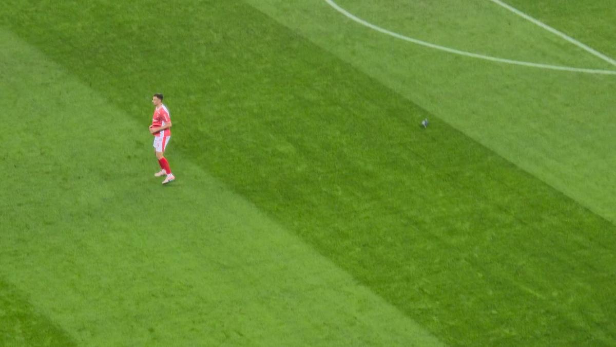 Porumbel rănit pe gazon în Dinamo - Metaloglobus