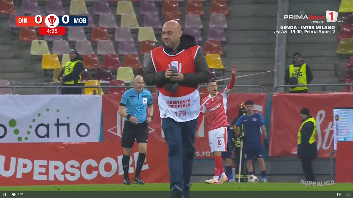 Porumbel rănit pe gazon în Dinamo - Metaloglobus