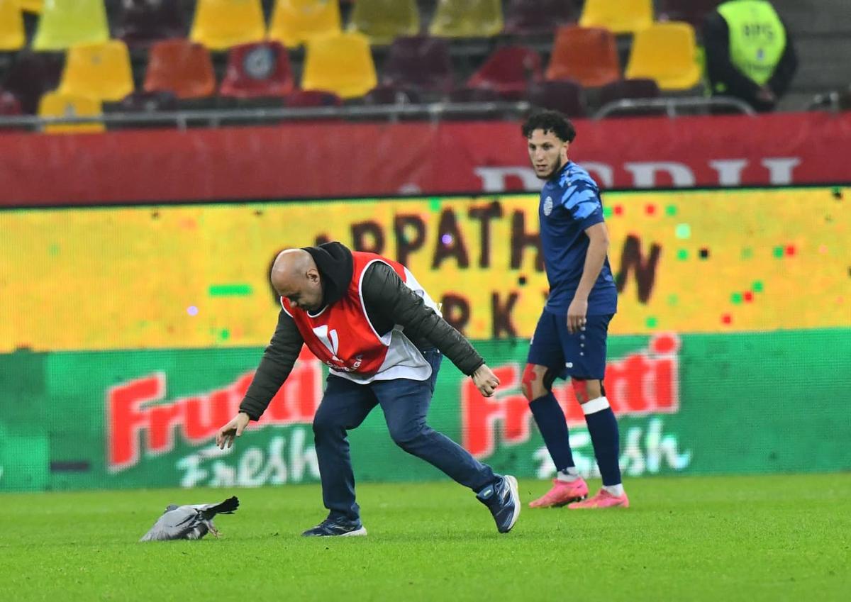 DINAMO-globus: „câinii” au halit nou-promovata și continuă invincibili asaltul la locul 1! VIDEO cu faza meciului