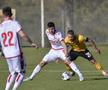 DINAMO - DYNAMO DRESDA / FOTO: Cristi Preda