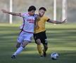 DINAMO - DYNAMO DRESDA / FOTO: Cristi Preda