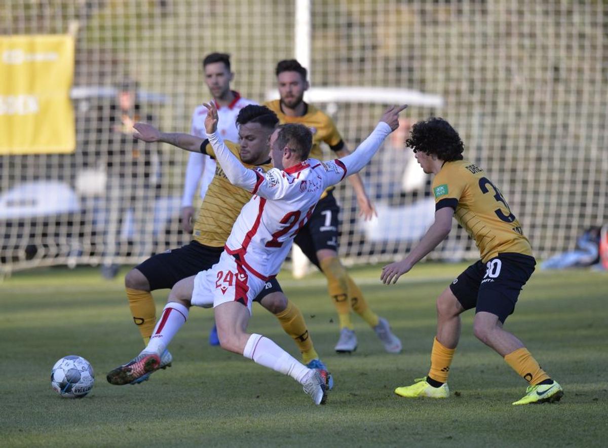 DINAMO - DYNAMO DRESDA / FOTO: Cristi Preda