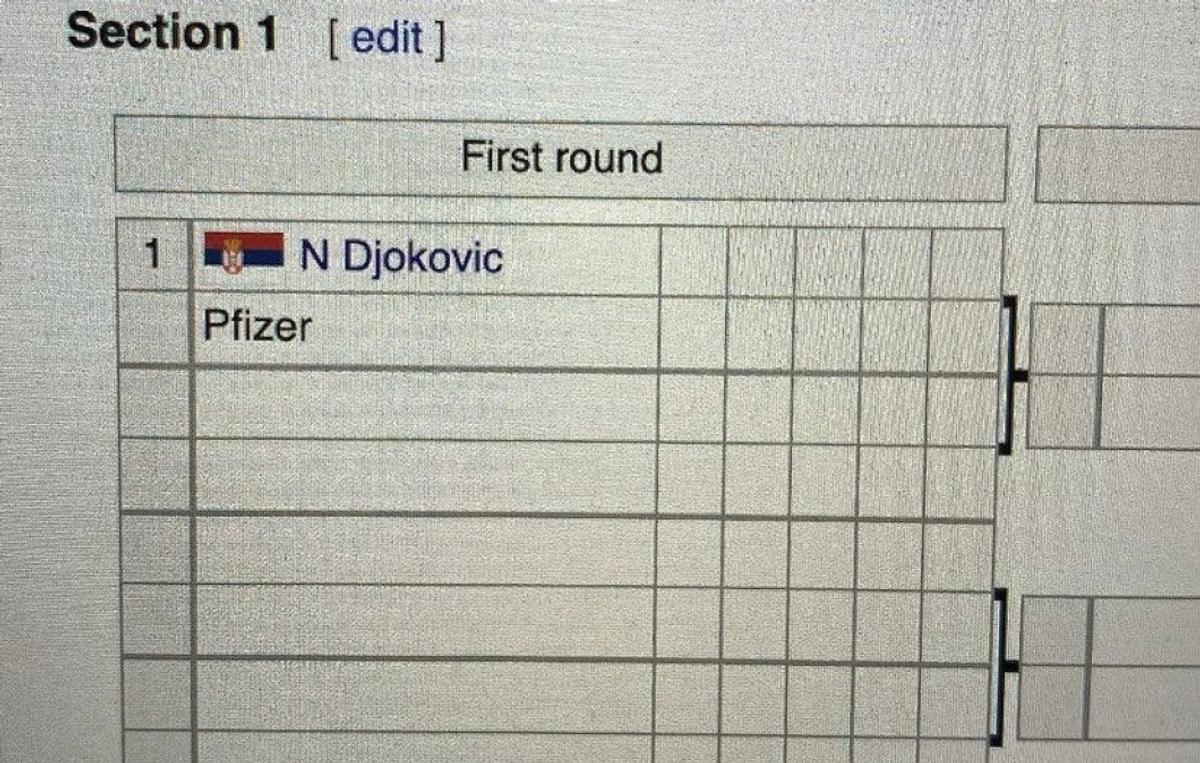Cele mai haioase memeuri apărute după „lupta” lui Djokovic cu vameşii din Australia