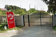 S-a întors la Dinamo, după ce fusese izgonit pentru 100 de lei!