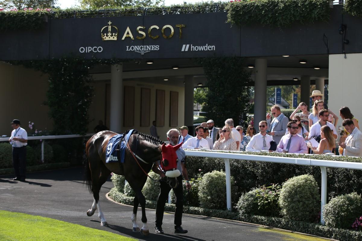 Imagini spectaculoase cu fanii la Royal Ascot, cea mai importantă cursă de cai din Marea Britanie