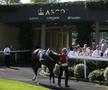 Imagini spectaculoase cu fanii la Royal Ascot, cea mai importantă cursă de cai din Marea Britanie // FOTO: Guliver/GettyImages