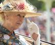 Imagini spectaculoase cu fanii la Royal Ascot, cea mai importantă cursă de cai din Marea Britanie // FOTO: Imago