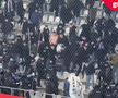 Scandal în peluză la Dinamo - Farul! Cine a declanșat conflictul