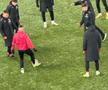 Dinamo - Farul, runda #27 din Superliga // Imagini surprinse înainte de meci
