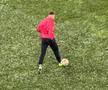 Dinamo - Farul, runda #27 din Superliga // Imagini surprinse înainte de meci