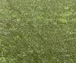 Dinamo - Farul, runda #27 din Superliga // Imagini surprinse înainte de meci